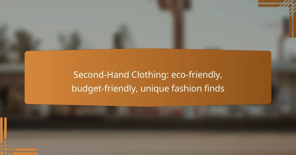 Second-Hand Clothing: eco-friendly, budget-friendly, unique fashion finds